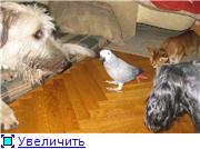 Прикачена снимка