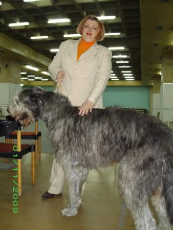 Прикачена снимка