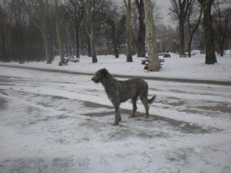 Прикачена снимка