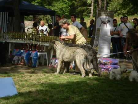 Прикачена снимка