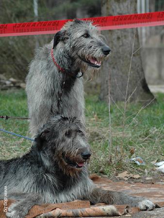 Прикачена снимка