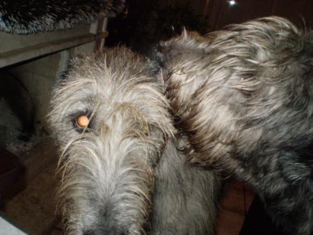 Прикачена снимка