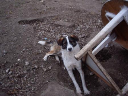 Прикачена снимка