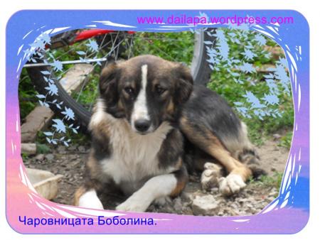 Прикачена снимка
