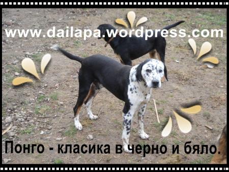 Прикачена снимка