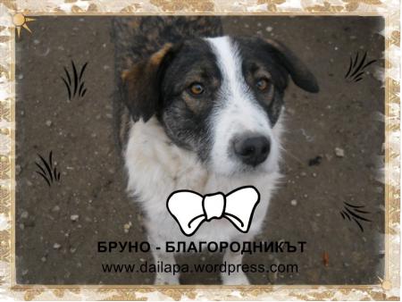 Прикачена снимка