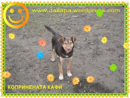 Прикачена снимка