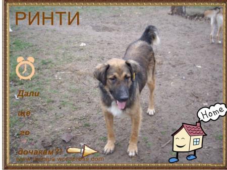 Прикачена снимка