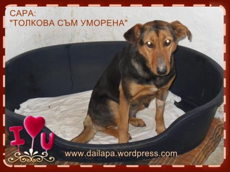 Прикачена снимка