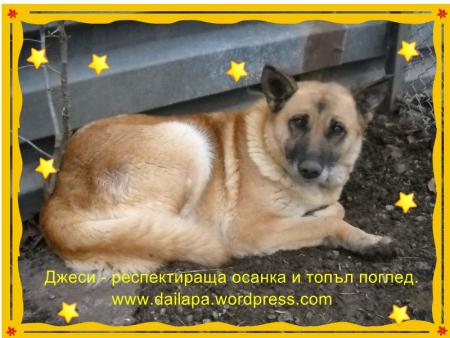 Прикачена снимка