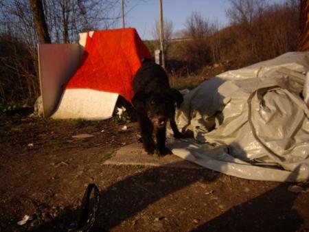 Прикачена снимка