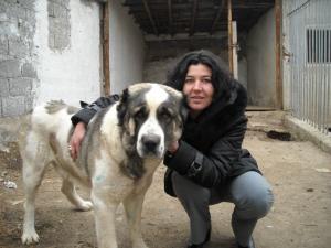 Прикачена снимка