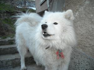 Прикачена снимка
