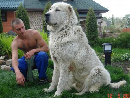 Прикачена снимка