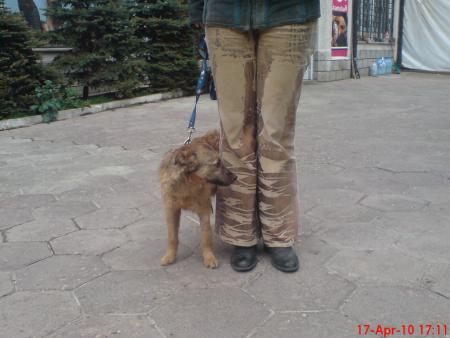 Прикачена снимка