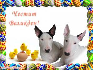 Прикачена снимка