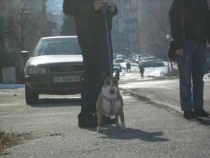 Прикачена снимка