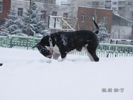 Прикачена снимка