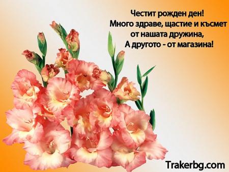 Прикачена снимка