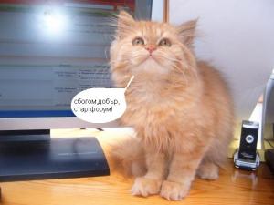 Прикачена снимка