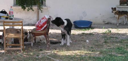 Прикачена снимка