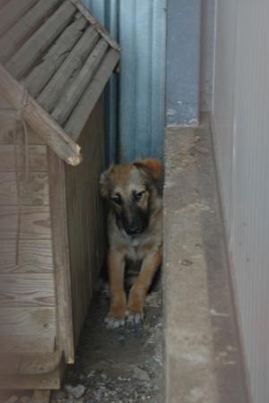 Прикачена снимка