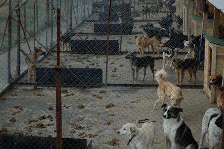 Прикачена снимка