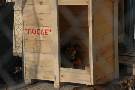 Прикачена снимка