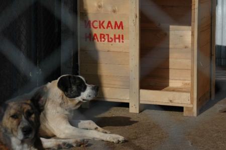 Прикачена снимка