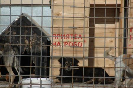 Прикачена снимка