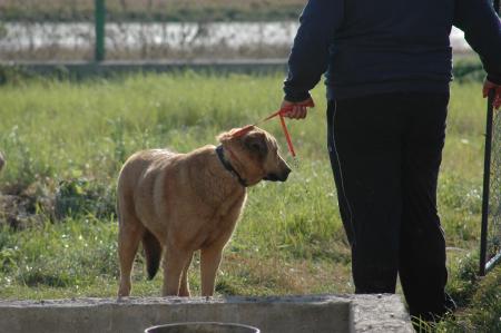 Прикачена снимка