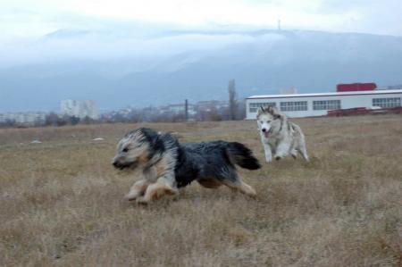 Прикачена снимка