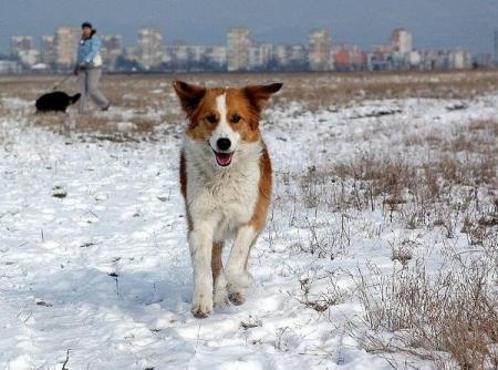 Прикачена снимка