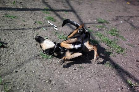 Прикачена снимка