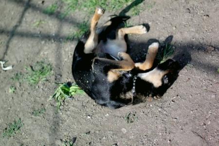 Прикачена снимка