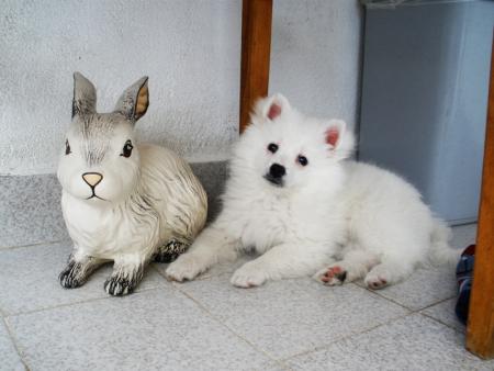 Прикачена снимка