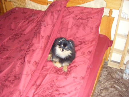 Прикачена снимка