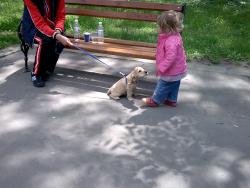 Прикачена снимка