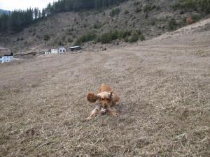 Прикачена снимка