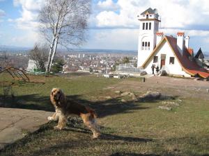 Прикачена снимка