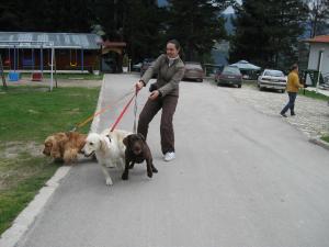 Прикачена снимка