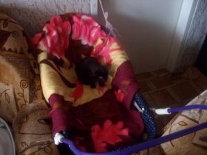 Прикачена снимка