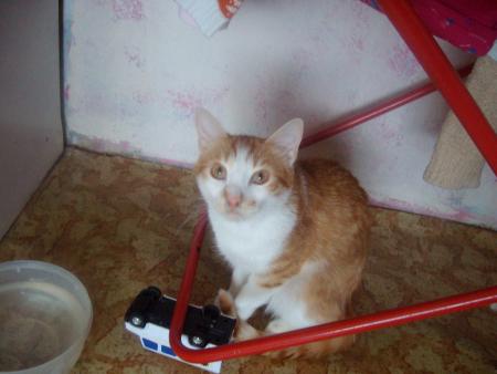 Прикачена снимка