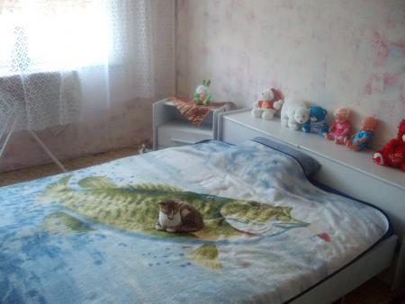 Прикачена снимка