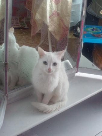 Прикачена снимка