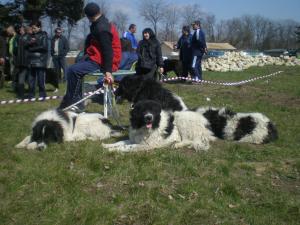 Прикачена снимка