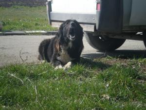 Прикачена снимка