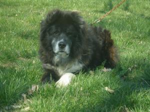 Прикачена снимка