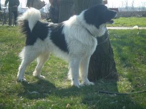 Прикачена снимка