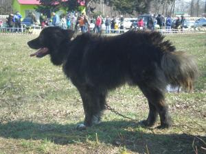 Прикачена снимка